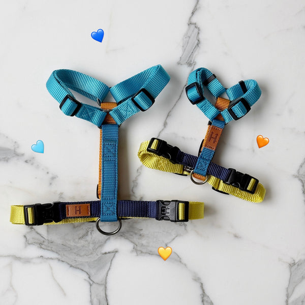 Limited Harness H (Summer Vibes)