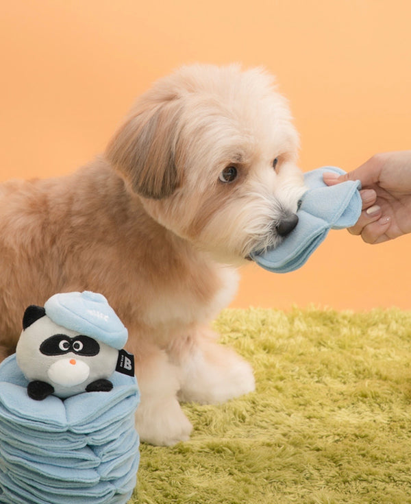 Poki-Pocket Nosework Toy