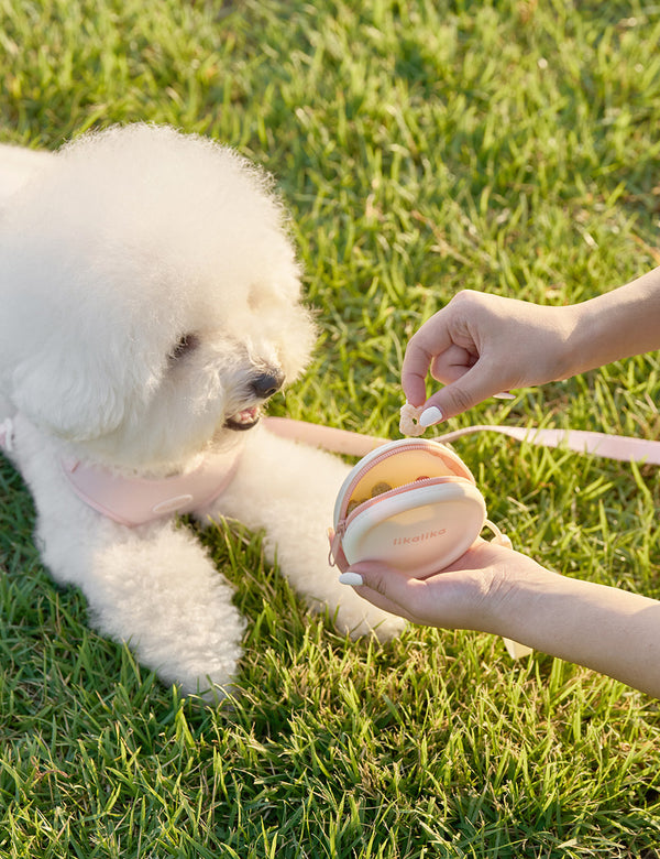 Portable Silicone Snack Pouch