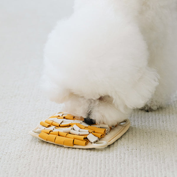Spin & Snack Squirrel Toy