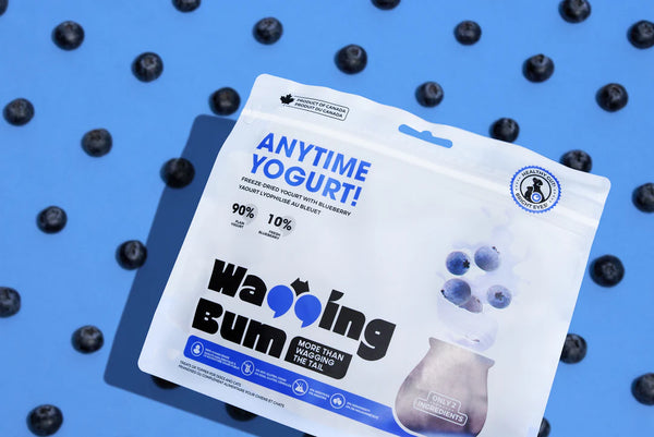 ANYTIME YOGURT! Freeze-dried Yogurt with Blueberry