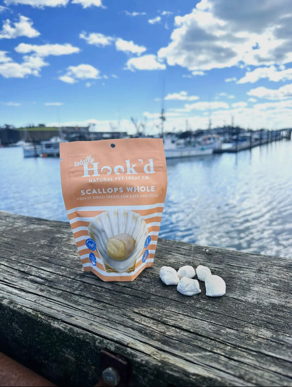 Freeze Dried Scallops Whole