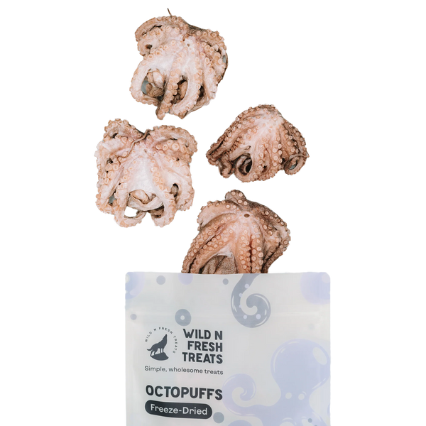 Freeze-Dried Octopuffs