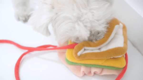 Korean Toast Nose Work Toy