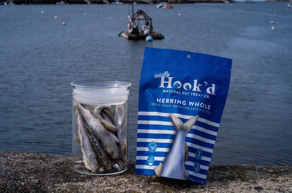 Freeze Dried Herring Whole