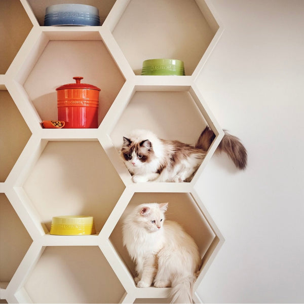 Pet Tableware (M)
