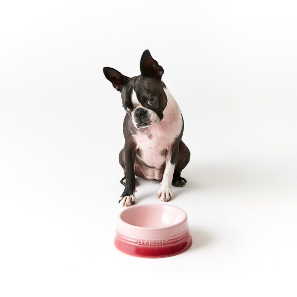 Pet Tableware (L)