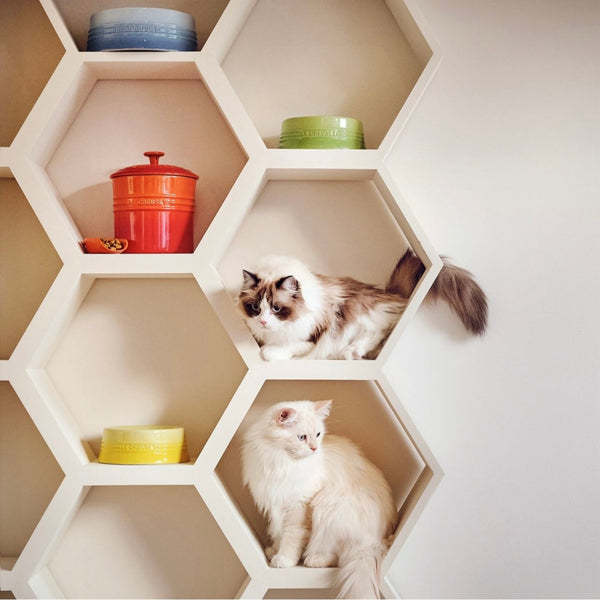 Pet Tableware (L)
