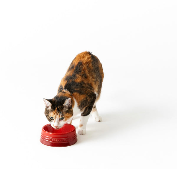 Pet Tableware (S)