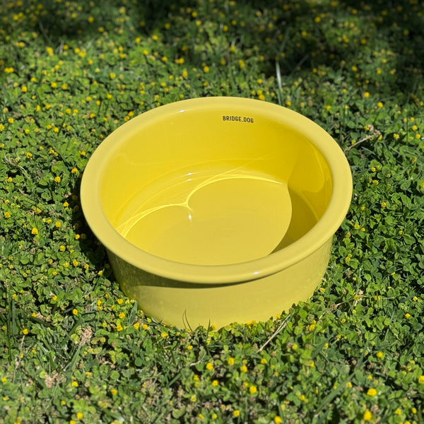 Big Bowl - Lemon Cream (Glossy)