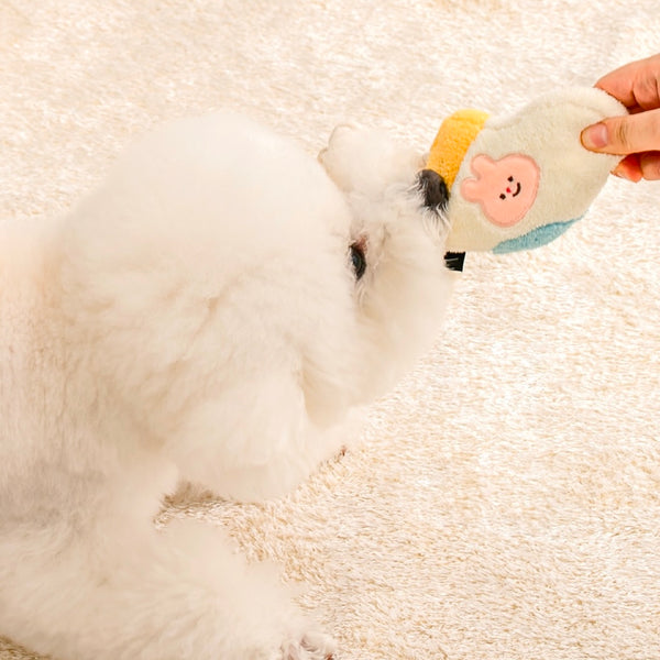 Socks Rope Tug Toy