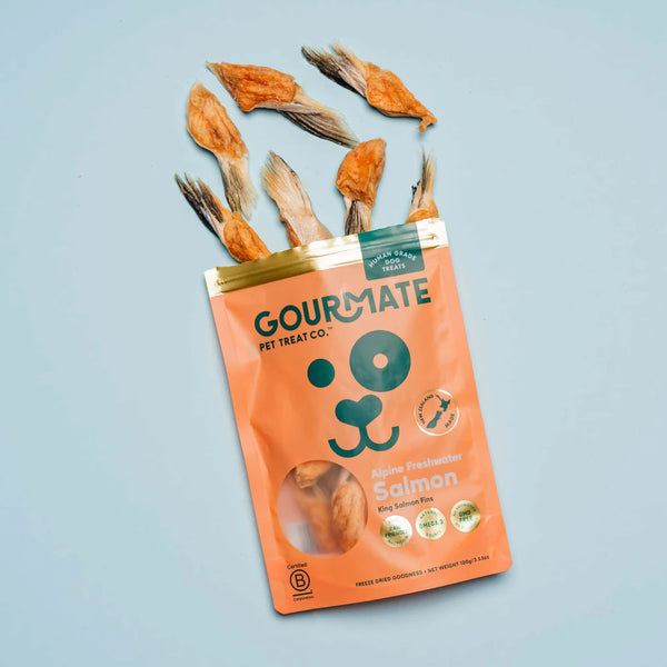 Alpine Freshwater Salmon