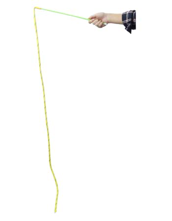 Crinkle String Teaser Toy