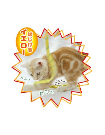 Crinkle String Teaser Toy