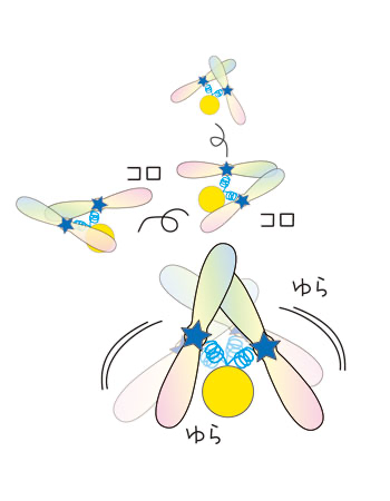 Yura Koro Kasharin – Star