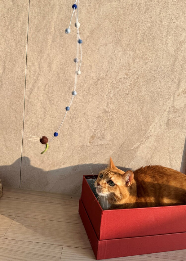 Watering Seeds Cat Toy