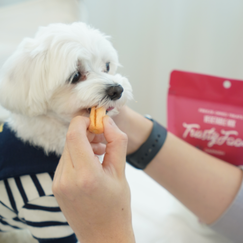 Freeze Dried Vegetable Mix