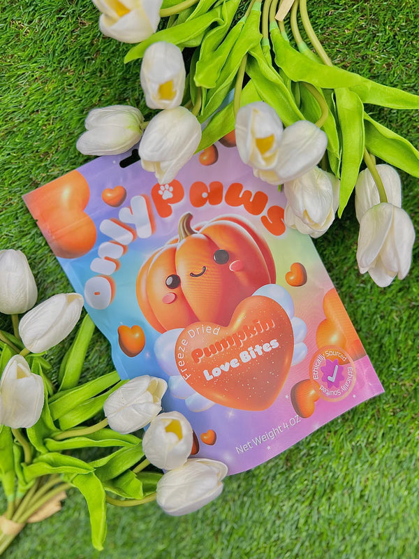 Freeze Dried Pumpkin