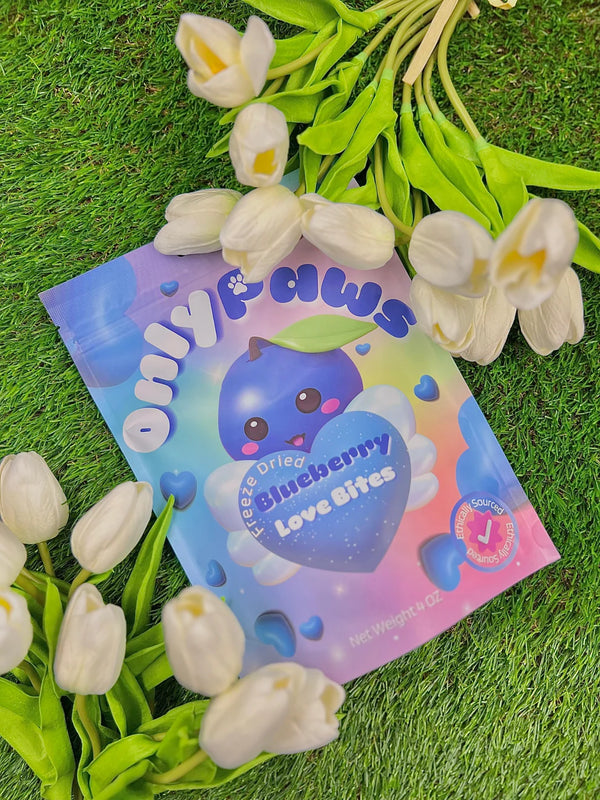 Freeze Dried Blueberry