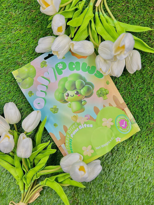 Freeze Dried Broccoli