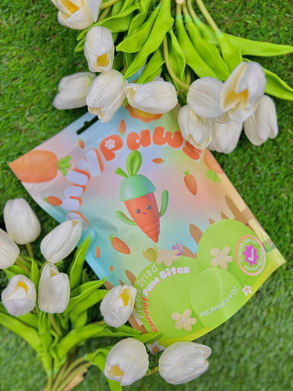 Freeze Dried Carrots