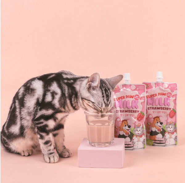 Super Paw Pet Milk