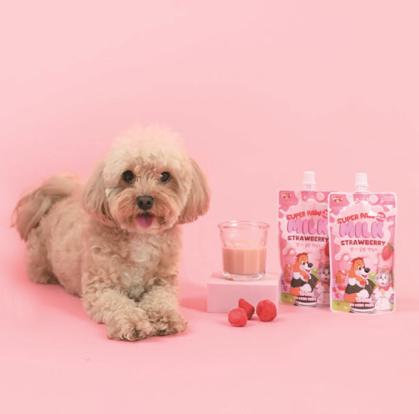 Super Paw Pet Milk
