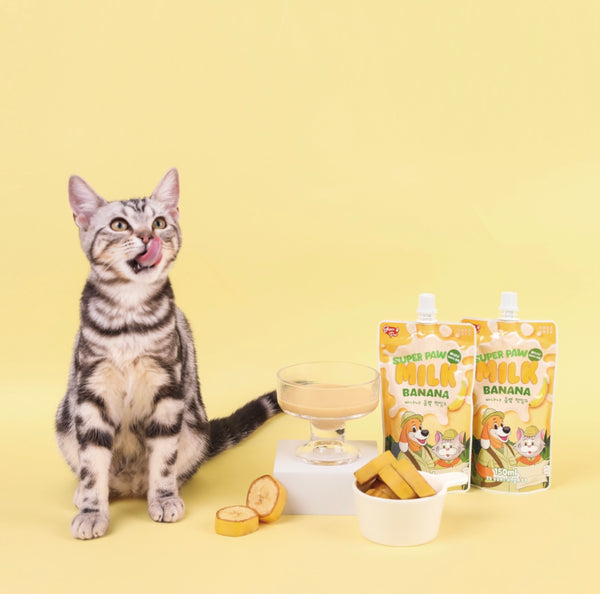 Super Paw Pet Milk