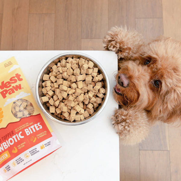 Chicken Dog Food Topper