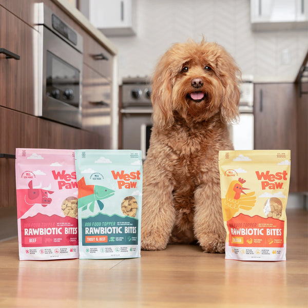 Beef Dog Food Topper