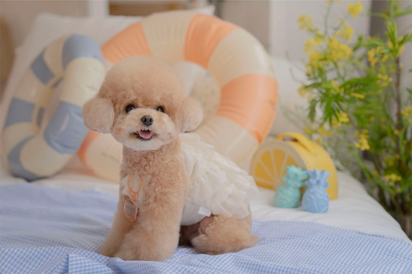 Candy Swimsuit Champagne Gold