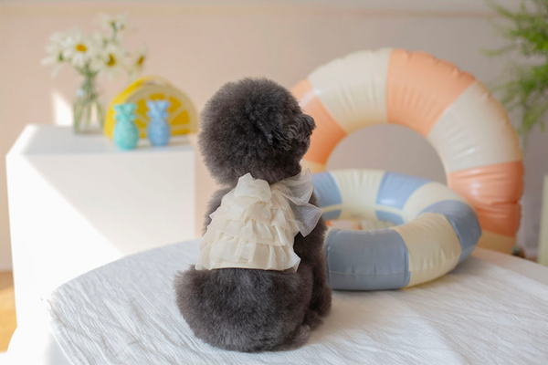 Candy Swimsuit Champagne Gold