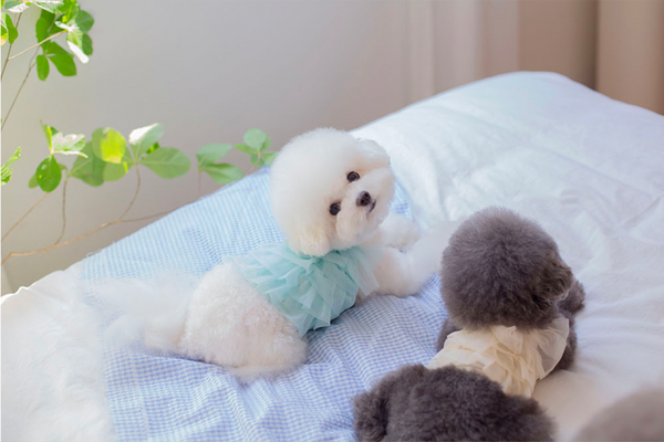 Candy Swimsuit Champagne Gold