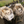Load image into Gallery viewer, Ajibag Cube See-Through