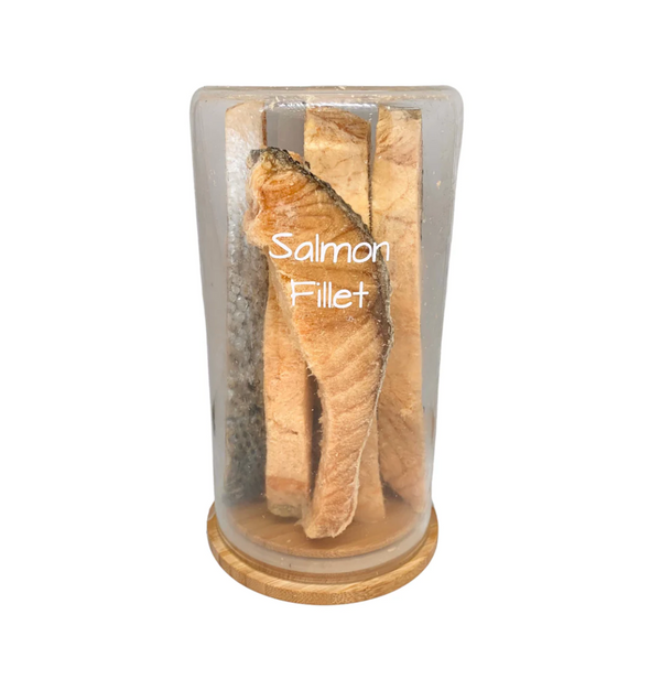 Freeze-Dried Salmon Fillet Raw Treats