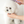 Load image into Gallery viewer, Tiny Pin Brush