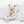 Load image into Gallery viewer, Rayon Fruits Cooling Mat