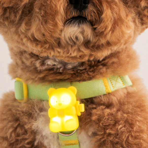 Jellybear LED Blinker