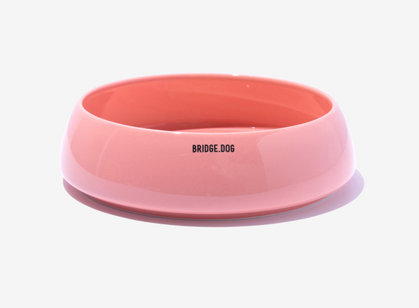 Bridge Ladder - Coral Pink (Glossy)