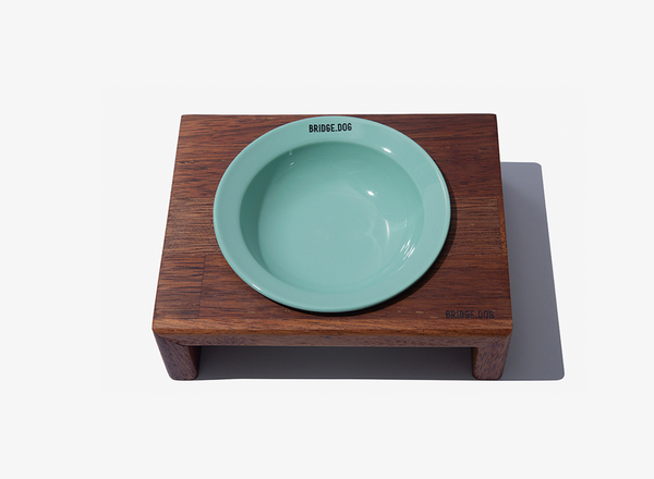 Mini Dish - Mint (Glossy)