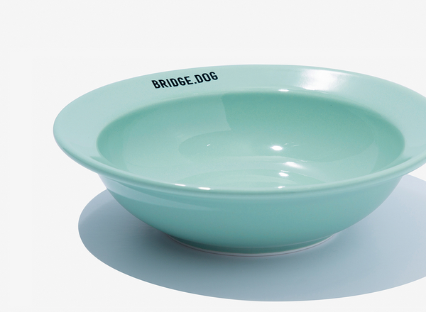 Mini Dish - Mint (Glossy)