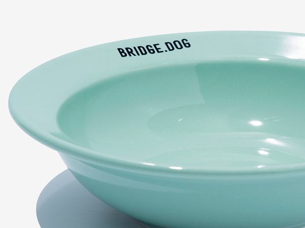 Mini Dish - Mint (Glossy)