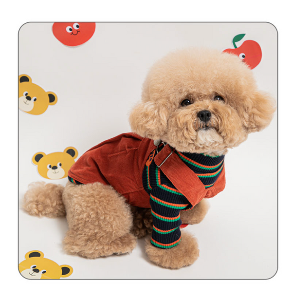 Pomme Nounours Skirty