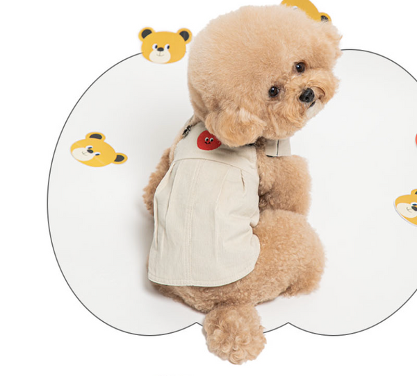Pomme Nounours Skirty