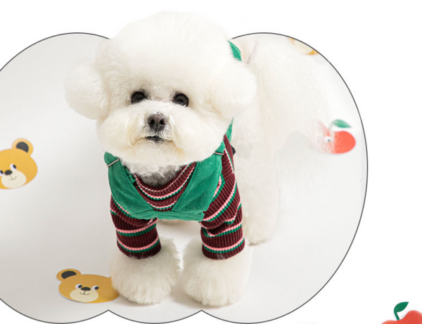 Pomme Nounours Skirty