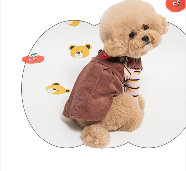 Pomme Nounours Skirty