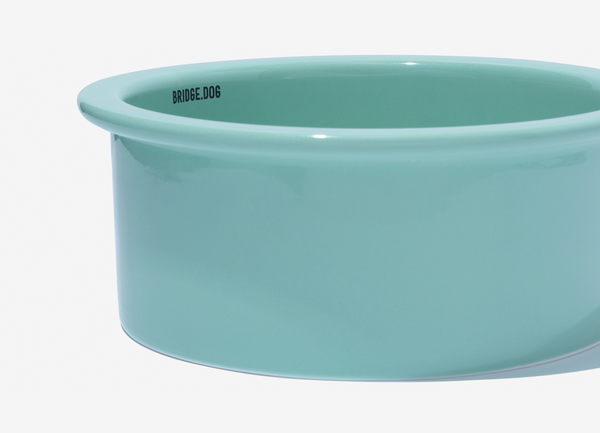 Big Bowl - Mint (Glossy)