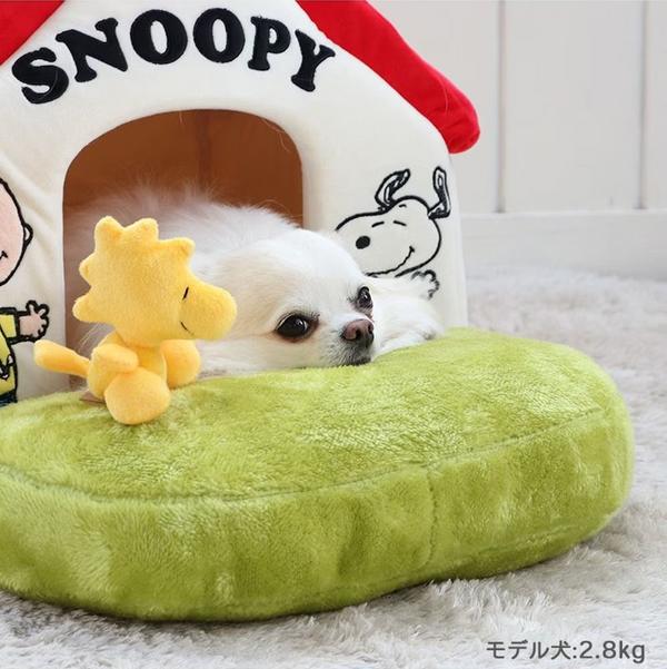 Snoopy House Garden