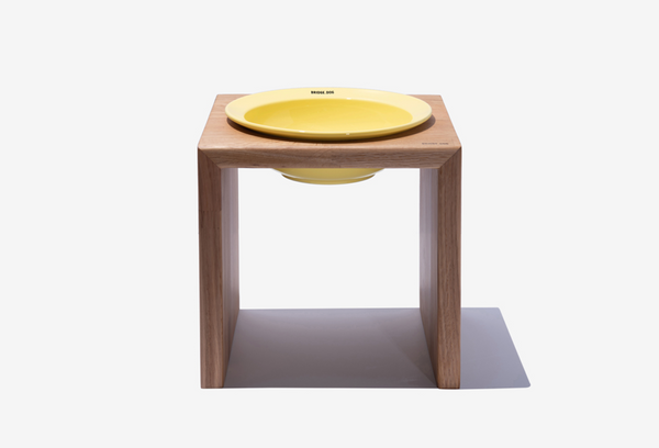 Big Dish - Baby Yellow (Glossy)
