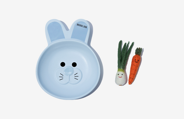 BUNNY DISH - AKUA BLUE